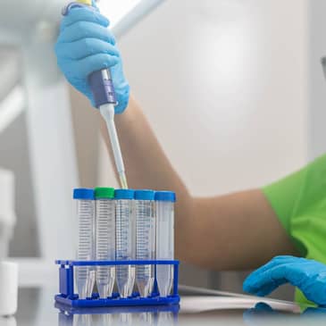 Slider image (4) PROFERT Santo Domingo